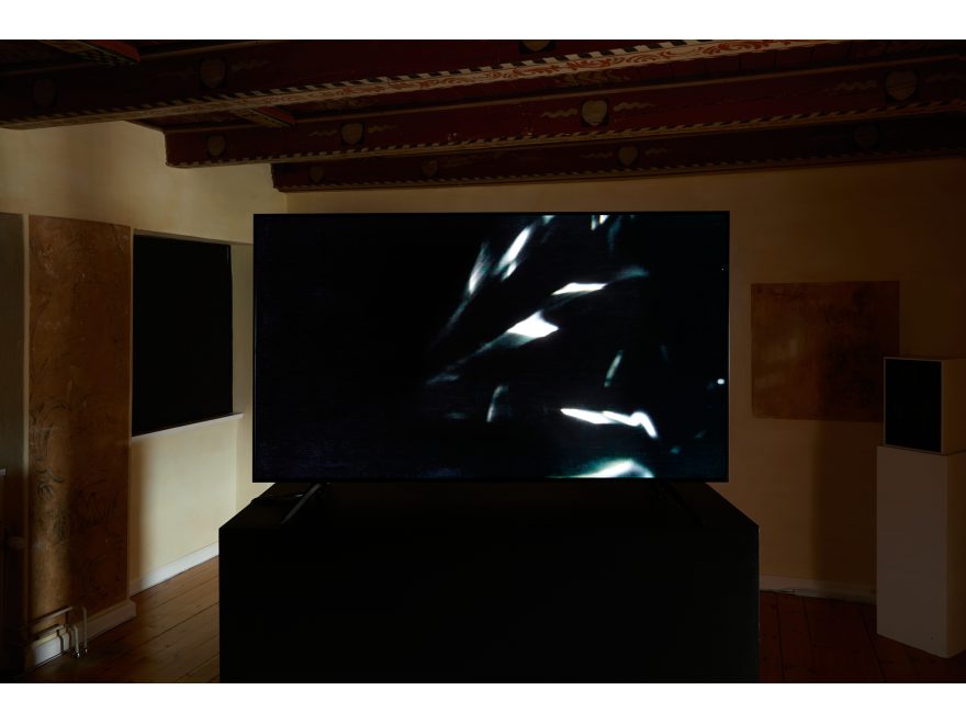 Sofie Hertz, Your realm my rotation, Videoinstallation, 2019/2022