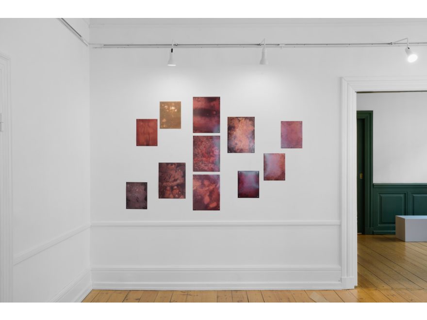 Alessandra Carosi, Sono acqua (I am water), 2025