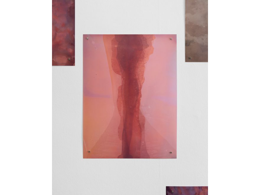 Alessandra Carosi, Sono acqua (I am water), udsnit, 2025
