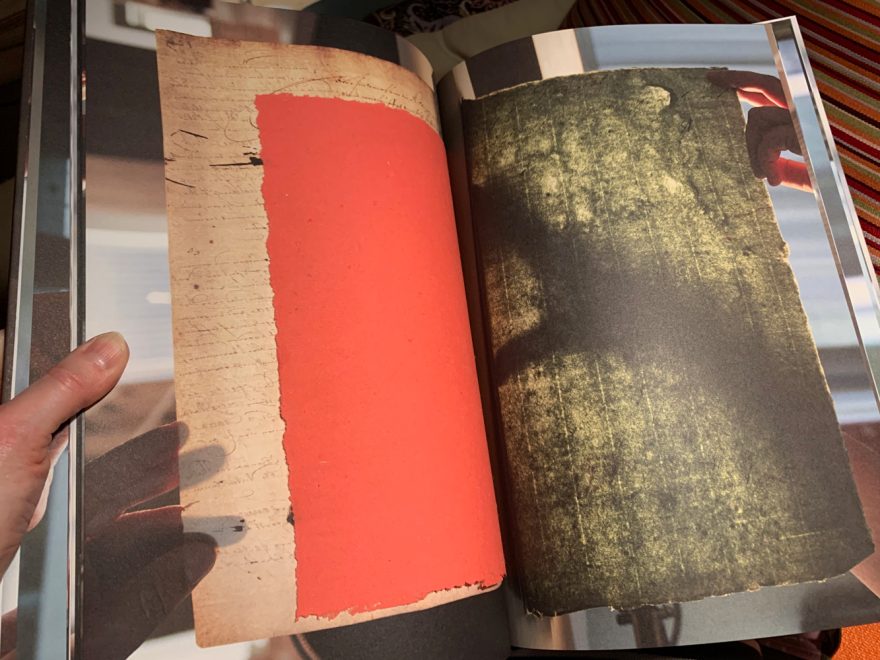 Signe Guttormsen, Det jeg aner, men ikke helt kan se.