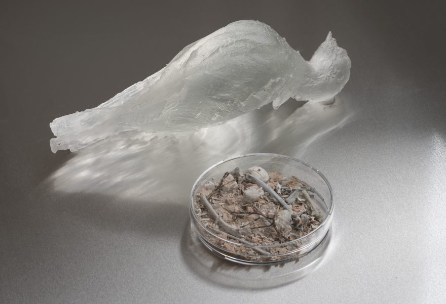 Tilda Lundbohm, Songbirds, 2025. Foto: David Stjernholm