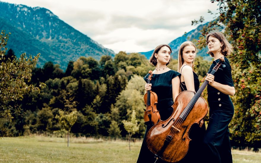 Trio Vita er en dansk, norsk, canadisk klavertrio.