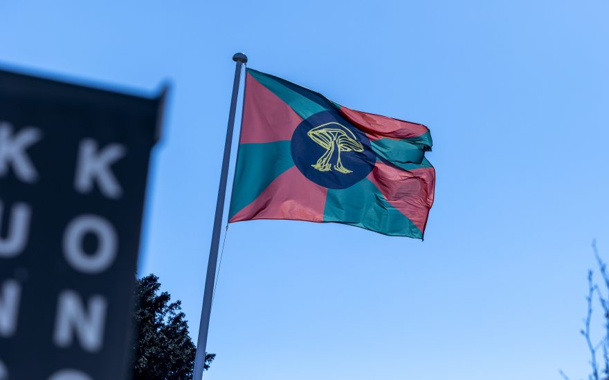 Adam Saks, The Map is not the Territory, flagværk i Kongegaardshaven, 2025. Fabu Photography