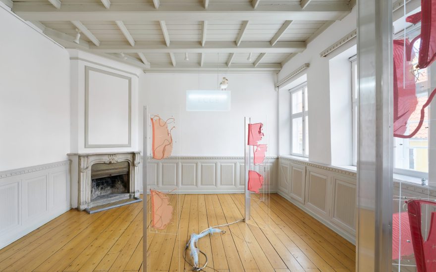 Pelagic Perspectives, Rune Bering, 2025, installationsfoto, Brian Kure