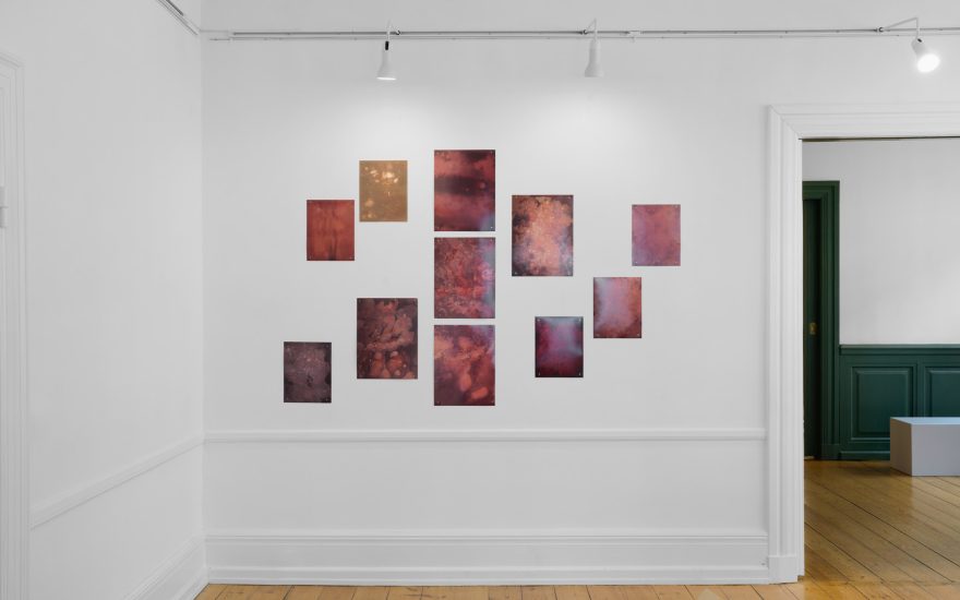 Alessandra Carosi, Sono acqua (I am water), 2025