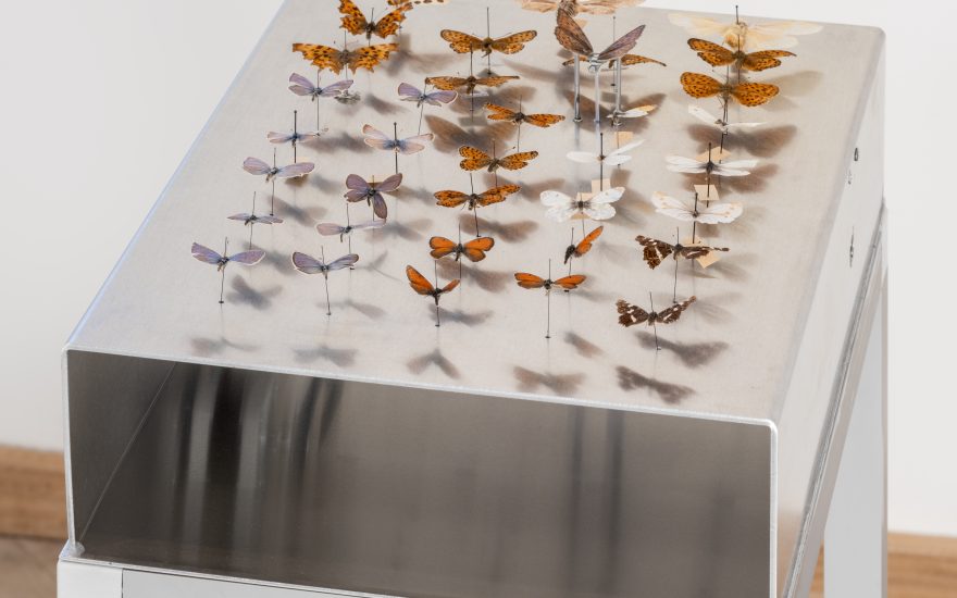 Tilda Lundbohm, Alive, 2025. Foto: David Stjernholm