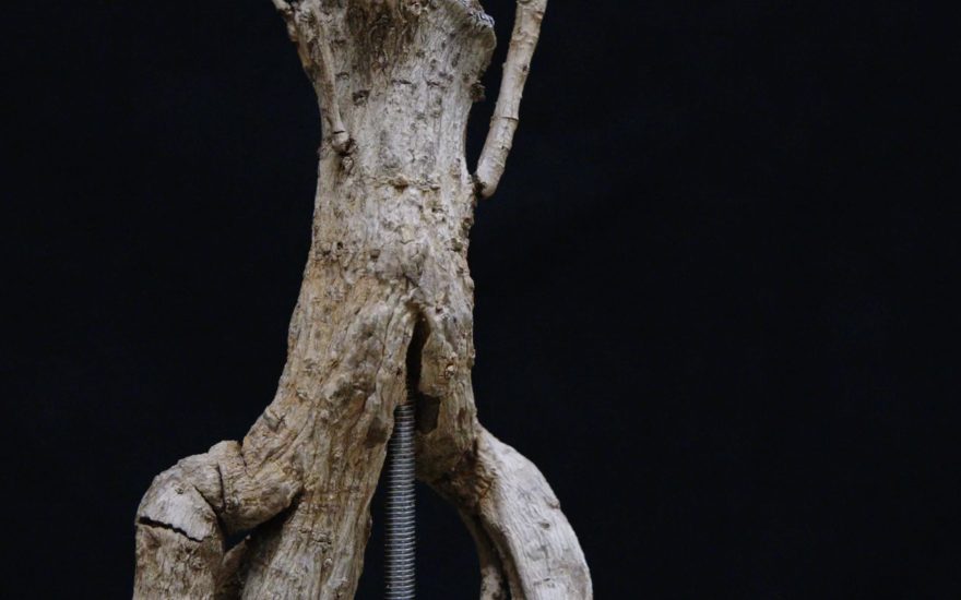 Asmund Havsteen-Mikkelsen, still fra videoinstallationen Dehabitation, 2026