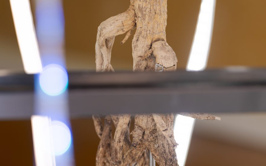 Asmund Havsteen-Mikkelsen, Organic Light (detalje), 195 x 154 x 113 cm, 2026. Foto David Stjernholm