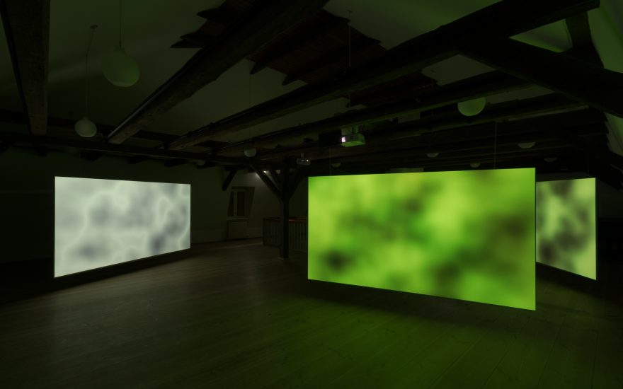 Asmund Havsteen-Mikkelsen, Dehabitation, 3 kanals video-installation, 2026. Foto David Stjernholm