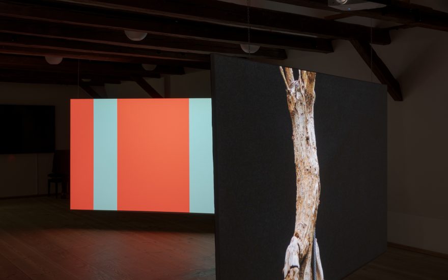 Asmund Havsteen-Mikkelsen, Dehabitation, video-installation 3-chanell, tre film á 7.44 min, 2026. Foto David Stjernholm
